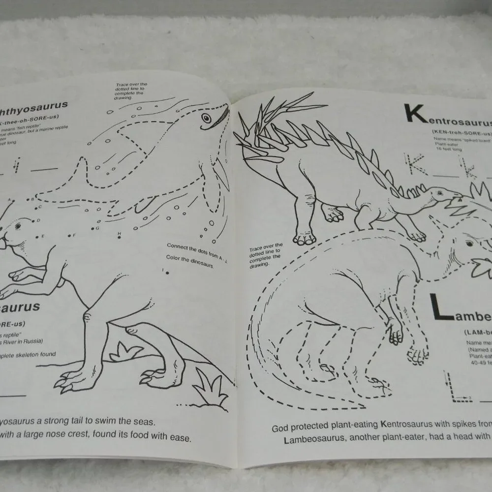 Dinosaur Creation Knowledge Books Set of 3 Books Homeschool Biblical Activity